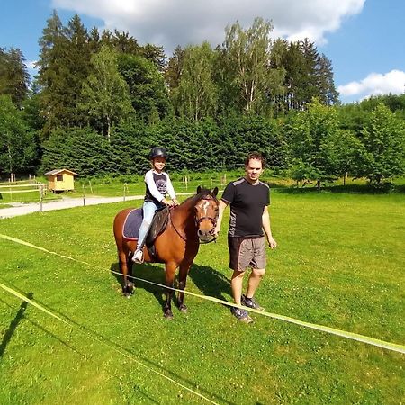 Гостьовий будинок Ferienbauernhof Mehlbach Kollnburg Екстер'єр фото