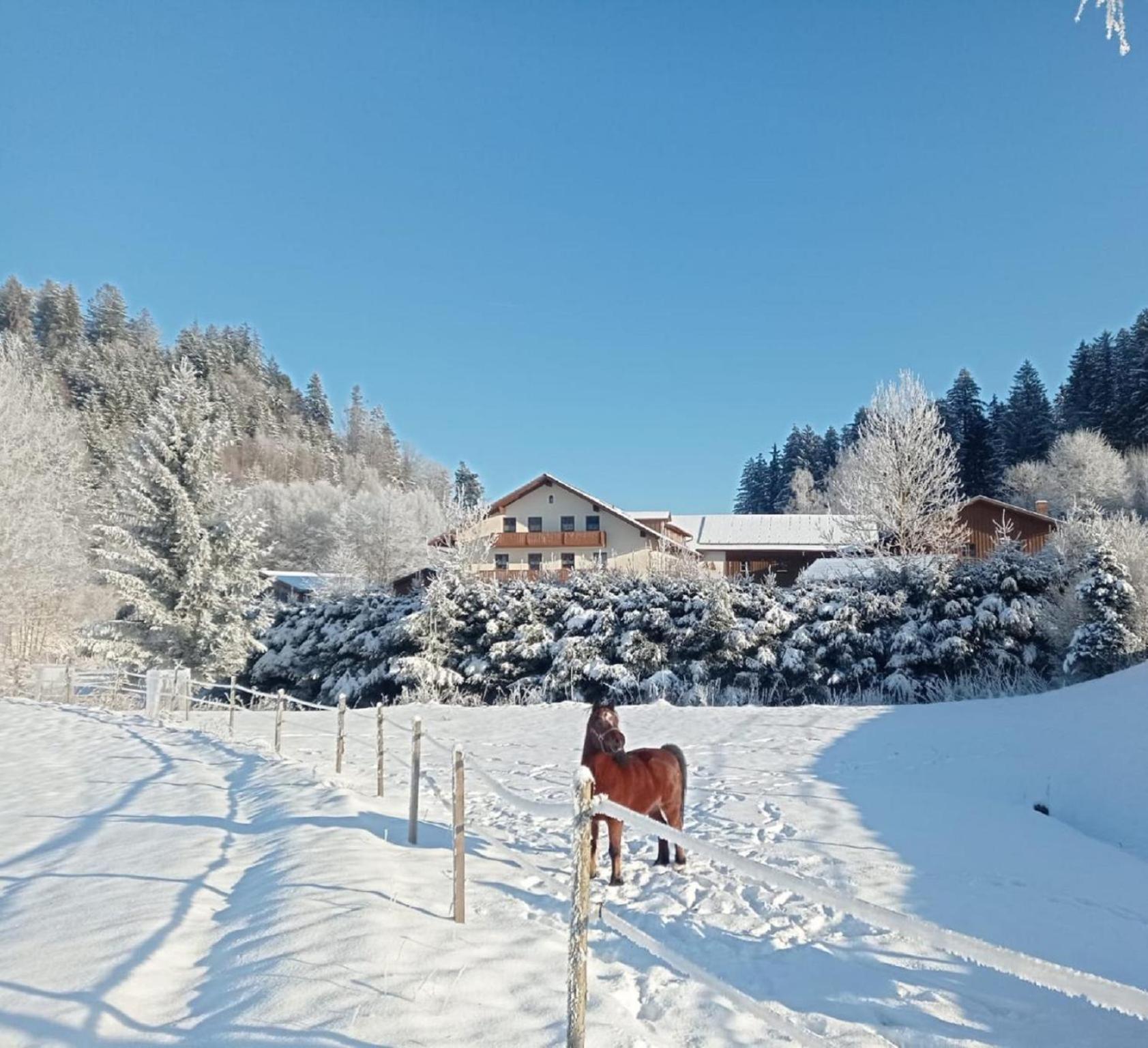 Гостьовий будинок Ferienbauernhof Mehlbach Kollnburg Екстер'єр фото