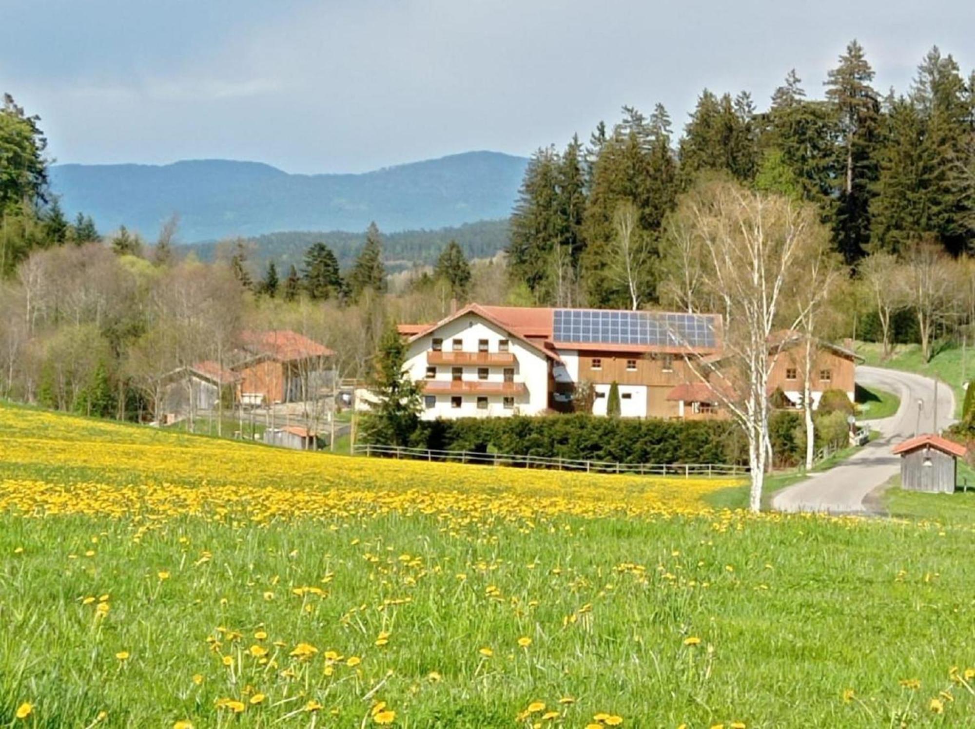 Гостьовий будинок Ferienbauernhof Mehlbach Kollnburg Екстер'єр фото