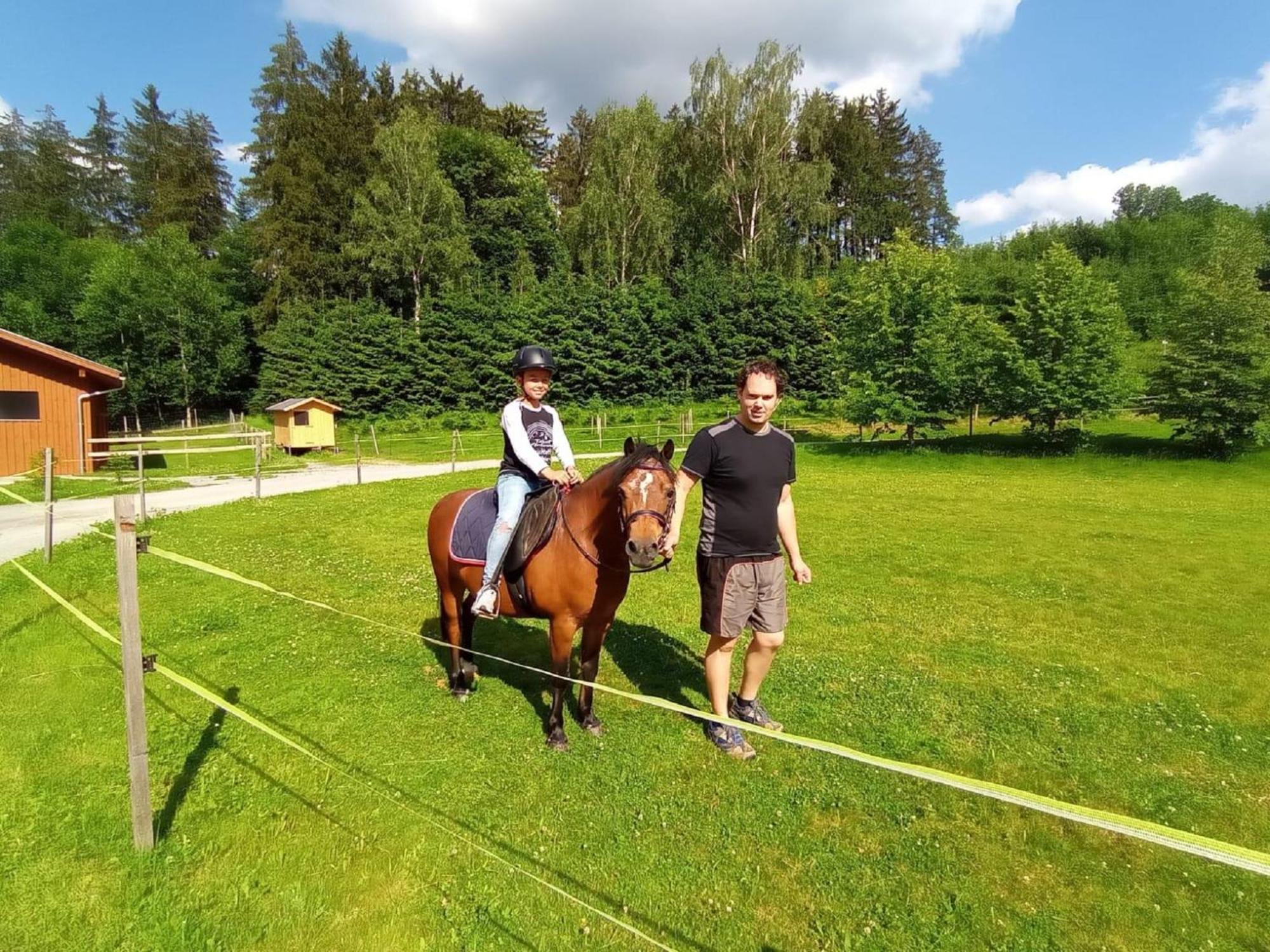 Гостьовий будинок Ferienbauernhof Mehlbach Kollnburg Екстер'єр фото
